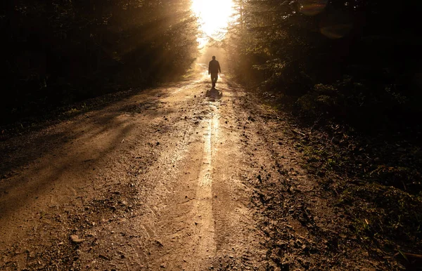 Silhueta Homem Solitário Caminhando Estrada Enevoada Floresta — Fotografia de Stock