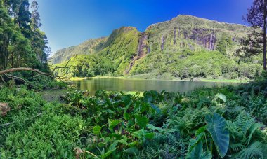 Göl Poco Ribeira musun Ferreiro Azores Flores Adası