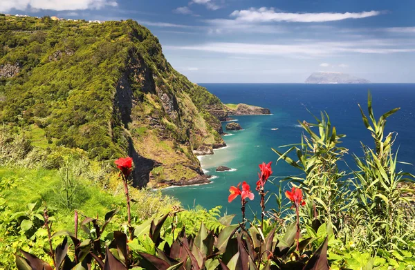 Miradouro Dos Caimbros Flores Ilhas Dos Açores — Fotografia de Stock