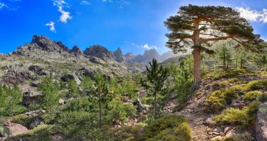 Gr 20 hiking trail Asco (Corsica yakınındaki geç öğleden sonra)