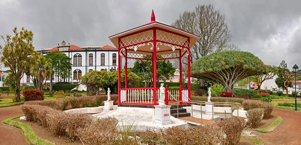 Jardin Botanique Jardim Florencio Terra Horta Île Faial Açores — Photo