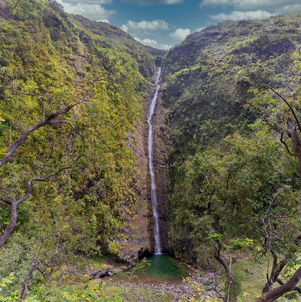 Wasserfall Cascade Biberon Auf Der Insel Reunion — Stockfoto