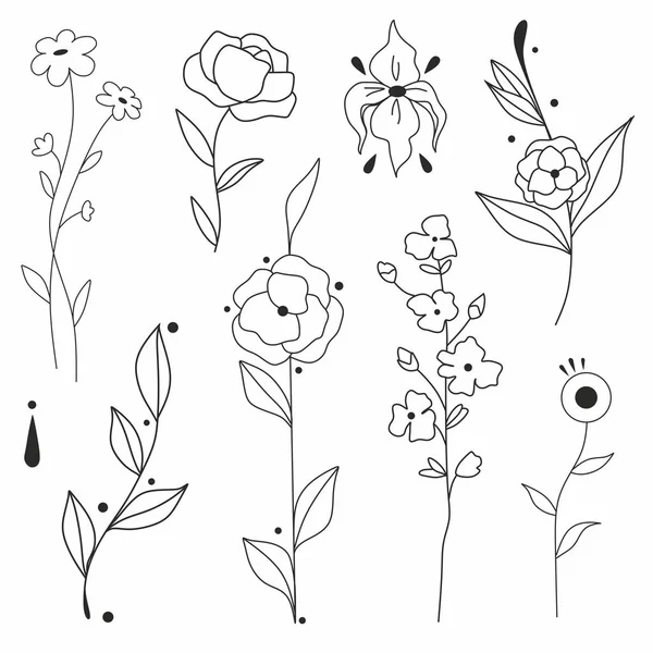 Motifs Floraux Vectoriels Ornement Graphique — Image vectorielle