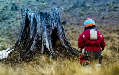 küçük çocuk Şili Araucania bölgesinde bir bin-yıl-yaşlı meşe ağacının yeşilliklerini doğru yürüyüş