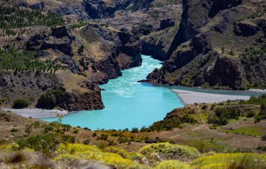 nehir fırıncı zıtlıkları. Austral yol. Patagonia. aysen bölgesi. Şili