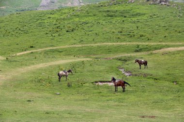 Gürcü Dağları Kazbegi, Georgia'nın güzel manzara