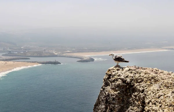 Hermosa Vista Nazare Océano Atlántico Portugal —  Fotos de Stock