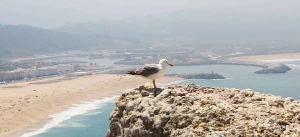 Güzel Manzarasına Nazare Atlantik Okyanusu Portekiz — Stok fotoğraf