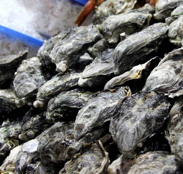 Oesters op de open markt — Stockfoto