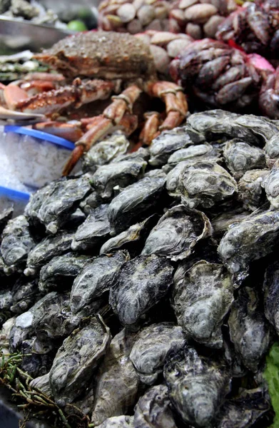 Oysters on the open market — Stock Photo, Image