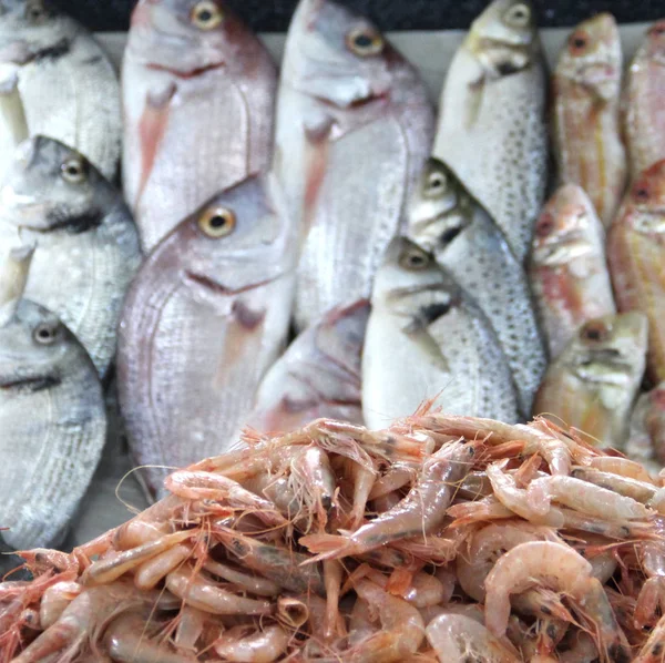 Mix van verse vis op de open markt — Stockfoto