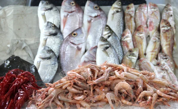 Mix of fresh fish on the open market — Stock Photo, Image