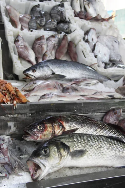 Mix van verse vis op de open markt — Stockfoto