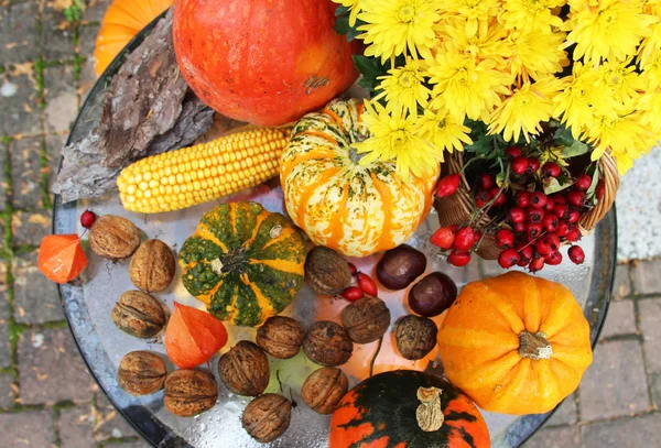 Halloween en el jardín — Foto de Stock