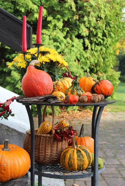 Halloween i trädgården — Stockfoto