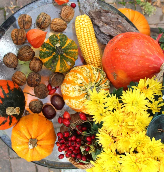 Halloween puutarhassa — kuvapankkivalokuva