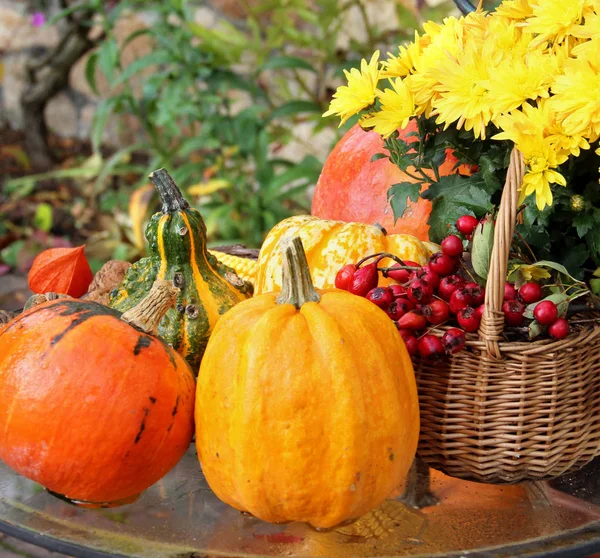 Halloween im Garten Stockbild