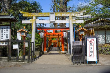 Tokyo, Japonya, 04/19/2017, Ueno Park. Torii Kapısı. Bu tapınak önde gelen kapı, bazen birkaç gates Avenue oluştururlar. Tören kapısı Shinto tapınağı girişine işaretler. Bu fiziksel ve ruhsal dünya arasında bir bölünme olduğunu