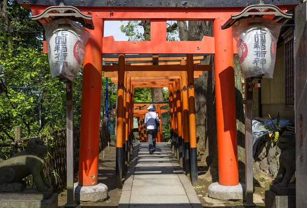 Tokyo Giappone 2017 Ueno Park Porta Torii Questa Porta Che — Foto Stock