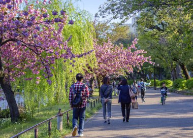 Tokyo, Japonya, 04/19/2017, Ueno Park bahar. Bugün, Ueno Park Tokyo çok ünlü ve ziyaret edilen bir yer, en iyi kiraz çiçekleri tefekkür için sermaye olarak kabul.
