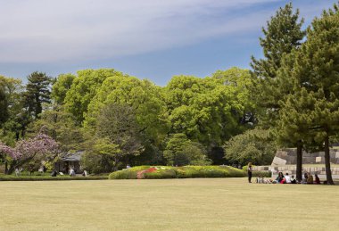 Tokyo, Japonya, 04/20/2017, Imperial Palace park. İmparatorluk Sarayı ikamet bir büyük Park-Doğu Park Imperial ikamet yoktur.
