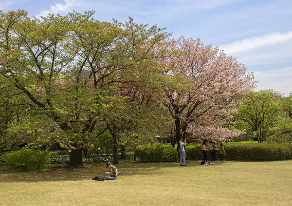 Tokyo, Japonya, 04/20/2017, Imperial Palace park. İmparatorluk Sarayı ikamet bir büyük Park-Doğu Park Imperial ikamet yoktur.