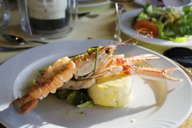 Beyaz bir tabakta sebze ile ıstakoz yemek. Patates püresi ile ıstakoz ve karnabahar en sevdiğim yemek.