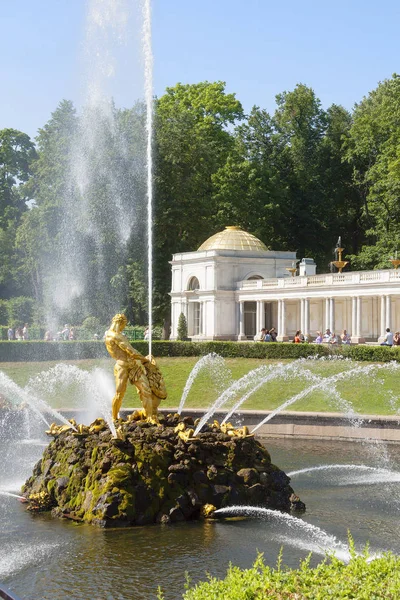 São Petersburgo Rússia 2010 Peterhof Fonte Sansão Peterhof Conjunto Palácio — Fotografia de Stock