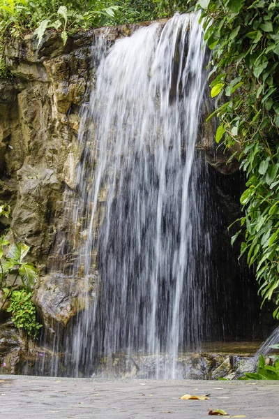 Singapore Wasserfall Botanischen Garten Der Garten Befindet Sich Der Nähe — Stockfoto