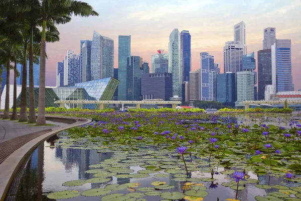 Singapore 2014 Business Center Gebouwen Het Centrale Zakelijke Deel Van — Stockfoto
