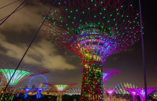 Singapura 20144 Jardins Futuristas Mostra Árvores Gigantes Extraordinária Beleza Parque — Fotografia de Stock