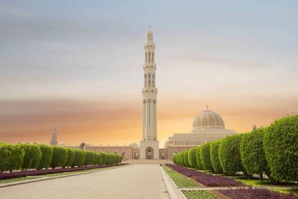 Oman Moscato Grande Moschea Del Sultano Qaboos Moschea Del Sultano — Foto Stock