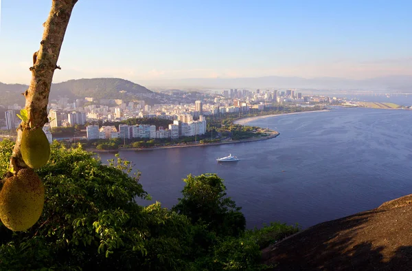 Rio Janeiro Dağ Şeker Kafa Şehirden Görünümü — Stok fotoğraf