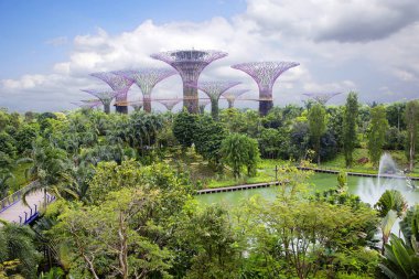 Singapur. Dev ağaçlar Bay.Singapore'nın fütüristik bahçelerle en görünür Bay Güney Bahçe parçası olan dev yapay ağaçlar. Bu 