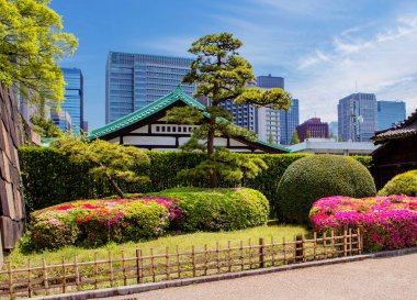 Japonya, Tokyo, 04/20/2017, iperator Palace Park. İmparatorluk Sarayı ikamet bir büyük Park-Doğu Park Imperial ikamet yoktur.