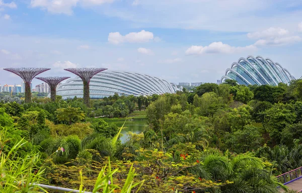 Singapore Giant Trees Bay Futuristic Gardens Singapore Bay South Garden — Stock Photo, Image
