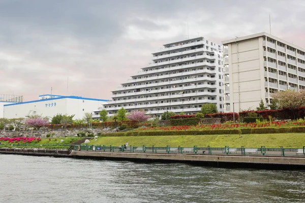 Токіо Японія 2017 Банки Sumida Річці Odaiba Острів Новим Напрямком — стокове фото