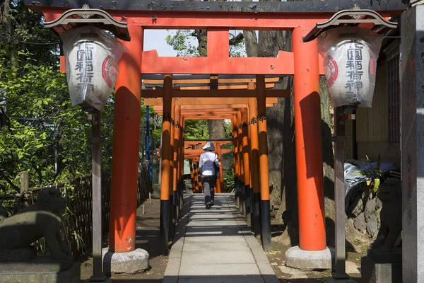 Tokyo Giappone 2017 Porta Accesso Santuario Shintoista Elemento Importante Dell — Foto Stock