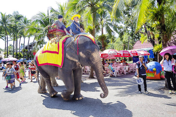 Bangkok, Thailand, 11/18/2014, Dusit Zoo. Elephant ride. During a walk in the zoo you can ride an elephant. Dusit Zoo is located in the Central part of Bangkok, considered the largest and best in Southeast Asian countries. It was opened in 1938.