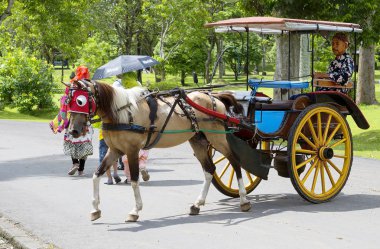 Jakarta, Endonezya, 01/06/2018, turistlere atlı arabası at arabası Borobudur Tapınağı için seyahat etmek turist bekliyor.