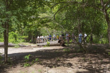 Komodo Adası, Endonezya, 01/09/2018, turist parkta ziyaret edin. Komodo Ulusal Parkı küçük Sunda Adaları Endonezya adalar bulunmaktadır. Bu biyosfer rezervi olduğu dünyanın en büyük kertenkele ve monitör kertenkele ev sahipliği.