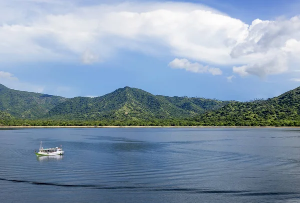 Die Komodo Insel Indonesien Der Komodo Nationalpark Liegt Indonesischen Archipel — Stockfoto