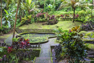 Bali, Endonezya, 01/11/2018, Ubud. Fil Goa Gaja mağara. Goa Gaja tapınak kompleksi tarafından yeşil orman çevrilidir. Parka giderseniz, bkz: kutsal ağaçlar, Lily pond, meditasyon için bir niş, küçük bir şelale ve nehir Pancong, t gitmek olacaktır