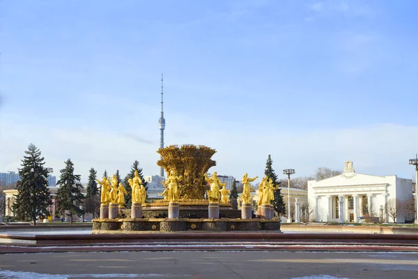 Moskau Russland Februar 2014 Brunnen Völkerfreundschaft Auf Vdnkh Brunnen Freundschaft — Stockfoto