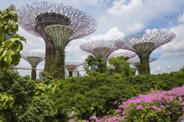 Singapur, 01 / 18 / 2018, Sahil Bahçeleri. Singapur 'un gelecekteki bahçeleri. Bay South Garden 'ın en görünür yeri dev yapay ağaçlardır. Bu 