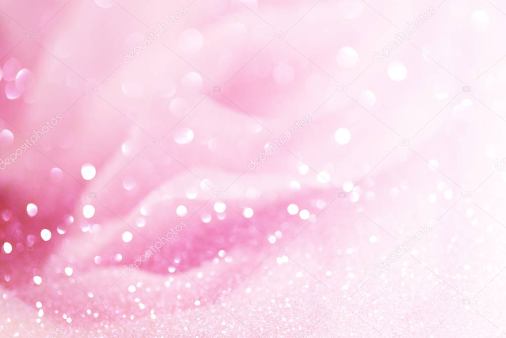 light pink roses in soft color and blur style for background