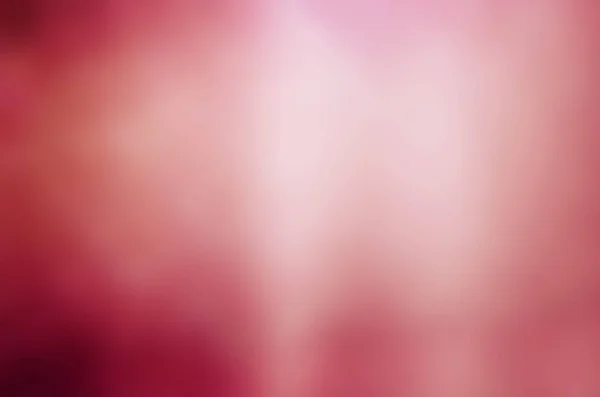 粉红色的玫瑰闪闪发光的圣诞灯 模糊抽象背景 — 图库照片