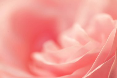 Soyut poligonal pantone arka plan