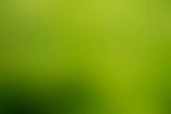 Astratto Sfondo Sfumato Verde Sfumato Con Luce Solare Bokeh Ecologia — Foto Stock