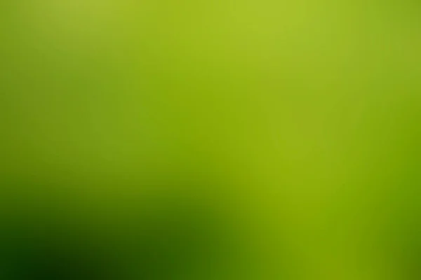 Abstrato Verde Desfocado Fundo Gradiente Com Luz Solar Bokeh Ecologia — Fotografia de Stock